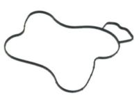Mopar 68165890AA Water Pump Gasket