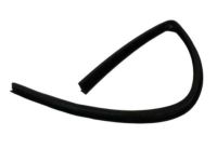 Mopar 55276165AF Seal Rear Door