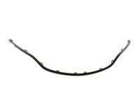 Mopar 68202985AC Molding, Black, Front