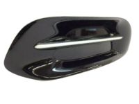 Mopar 68163981AA Lamp Cover, Front Driver Side Mopar 68163981AA Lamp Cover, Front Driver Side