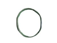 Mopar 68359029AA Throttle Body Gasket Mopar 68359029AA Throttle Body Gasket