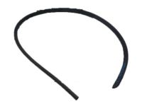 Mopar 55394043AD Seal Front Door