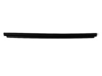 Mopar 55112373AJ Weatherstrip Front Door Belt Inner