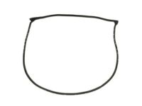 Mopar 68291602AD Weatherstrip Front Door Mounted