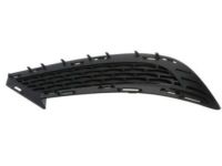 Mopar 68235737AB Lamp Cover, Front Driver Side