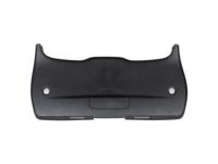 Mopar 5LE61DX9AD Panel Liftgate Trim Lower, Rear