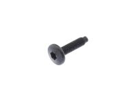 Mopar 68134817AA Screw M6X1X25 Remote To Door Attaching