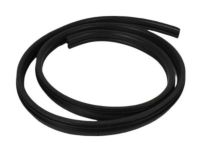 Mopar 55394782AD Weatherseal, Liftgate