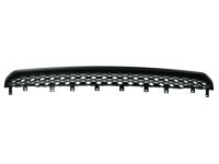 Mopar 68274571AA Lower Grille, Front