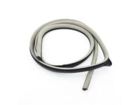 Mopar 1DA08BD1AG Weatherstrip Front Door Opening Mopar 1DA08BD1AG Weatherstrip Front Door Opening