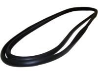 Mopar 55019988 Reveal Molding