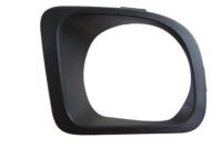 Mopar 5116212AB Lamp Bezel, Front Passenger Side
