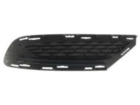 Mopar 68235736AB Lamp Cover, Front Passenger Side