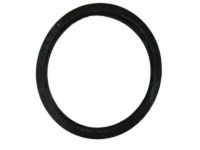 Mopar 68027861AA O Ring Mopar 68027861AA O Ring