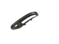 Mopar 68335957AB Fog Lamp Bezel, Front