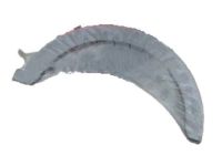 Mopar 4892361AA Bearings Mopar 4892361AA Bearings