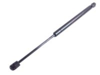 Mopar 68139706AA Lift Cylinder