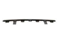 Mopar 68206039AA Lower Molding, Front