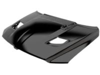 Mopar 68276297AB Hood, Front