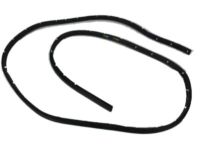 Mopar 4217552 Weatherstrip, Front Passenger Side