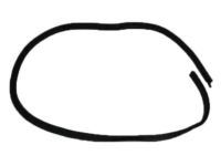 Mopar 4575880AD Weatherstrip, Rear
