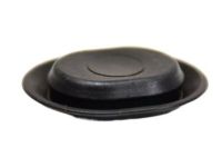 Mopar 5160283AA Sill Molding Plug