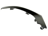 Mopar 68203039AB Outer Molding, Black, Front Driver Side