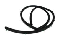 Mopar 68070493AA Seal Strip, Front Mopar 68070493AA Seal Strip, Front