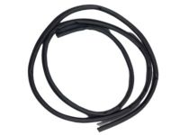 Mopar 55255486AE Weatherstrip, Front Passenger Side