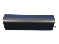 Mopar 68054649AA Pull Handle, Front Mopar 68054649AA Pull Handle, Front