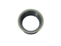 Mopar 4799964AD Filter O-Ring, Inner