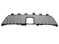 Mopar 68258570AA Lower Grille, Front Center