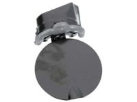 Mopar 68171514AA Fuel Door, Rear