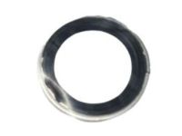 Mopar 68162517AA Seal Ring