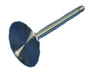 Mopar 5047564AA Valves