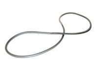 Mopar 1JY42DX9AA Lace