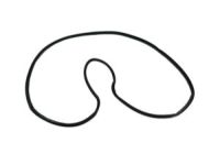 Mopar 68103092AB Weatherstrip Rear Door Opening