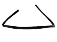 Mopar 6104135AA Belt Molding Screw