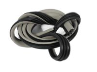 Mopar 1DA06BD1AJ Weatherstrip On Body, Rear Inner