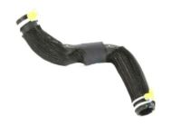 Mopar 68403557AB Upper Hose, Lower