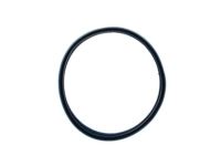 Mopar 4897498AA Fuel Filter, Lower