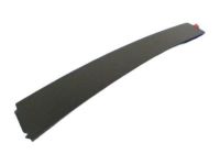 Mopar 57010428AB Applique Rear Door