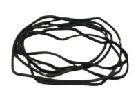 Mopar 68085076AC Weatherstrip Body Side Body Mounted