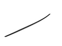 Mopar 68196928AA Molding Front Door