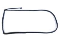 Mopar 55112363AE Weatherstrip Rear Door Mounted