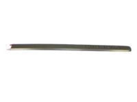 Mopar 5JR86BDLAA Body Side Molding, Front Passenger Side Mopar 5JR86BDLAA Body Side Molding, Front Passenger Side