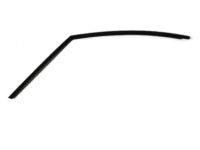 Mopar 5096799AA Retainer Door Glass Weatherstrip