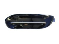 Mopar 68163980AA Lamp Cover, Front Passenger Side