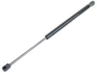 Mopar 55369333AD Lift Cylinder