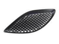 Mopar 68141087AC Bezel Hood